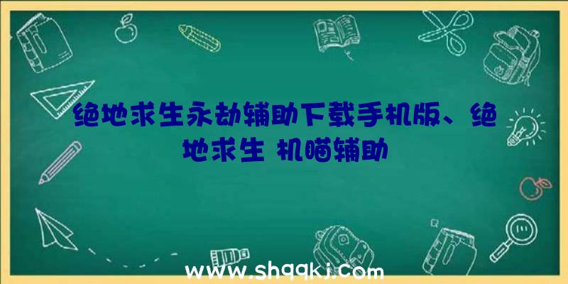 绝地求生永劫辅助下载手机版、绝地求生